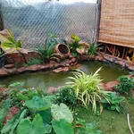 Bán đất vườn Thôn 6 Phạm Ngũ Lão 1039m², 2 tỷ 450 triệu - Ảnh thu nhỏ 2