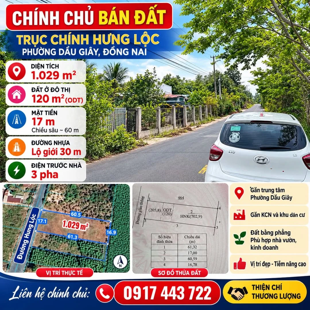 Bán đất Hưng Lộc Dầu Giây 1.029 m² giá 3,2 tỷ - Ảnh 1