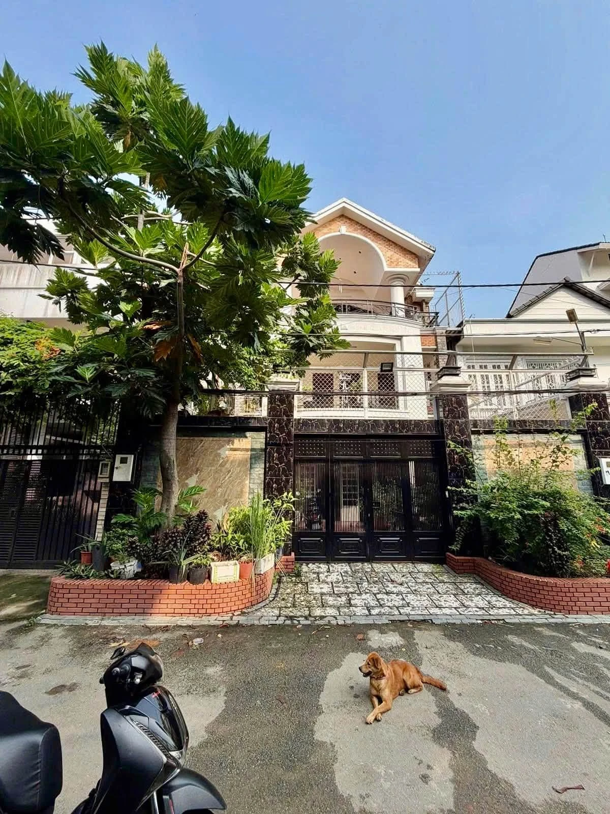Bán biệt thự 233m² giá 60 tỷ Thảo Điền Quận 2 - Ảnh 1