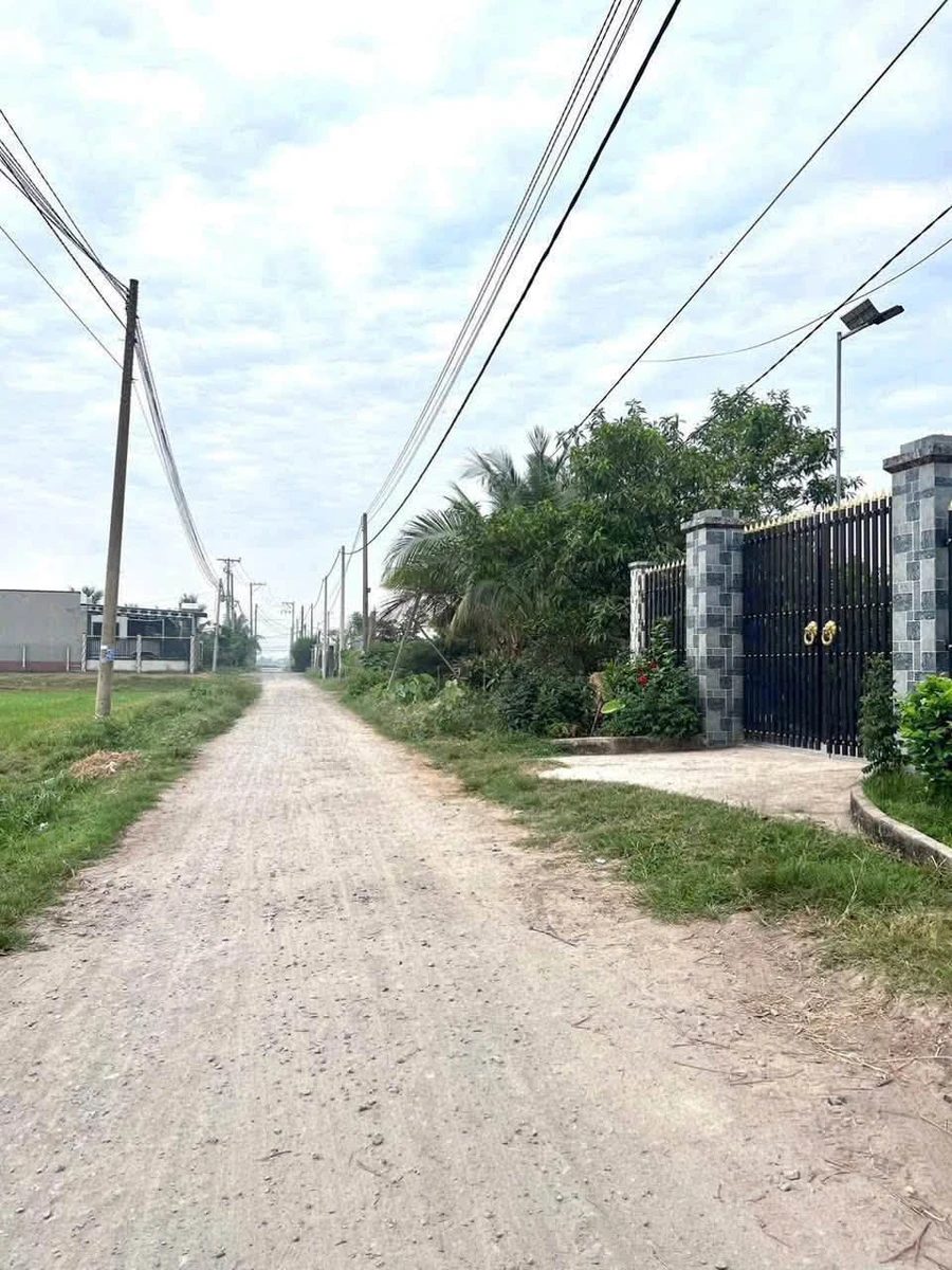 Bán đất nền liền kề 5x25m thổ cư 100% sổ hồng riêng gần Cát Tường Phú Sinh, Đức Hòa, Tây Ninh - Ảnh thu nhỏ 2