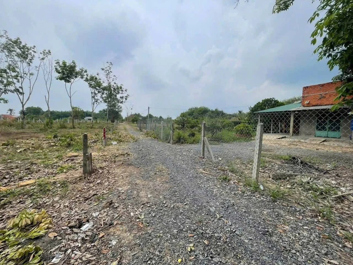 Bán đất 200m2 giá 159 triệu/lô tại xã Long Chữ, Tây Ninh - Ảnh thu nhỏ 3