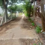 Bán lô đất vườn An Điền 1.465m2 giá 2 tỷ 850 - Ảnh thu nhỏ 2