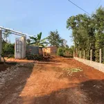 Bán đất 5 sào view suối Hoà Thắng, Tân Lập - Ảnh thu nhỏ 3