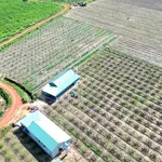Bán đất 500m2 sổ sẵn Tây Ninh, giá từ 200 triệu - Ảnh thu nhỏ 5