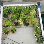 Bán nhà 2 mặt tiền 5PN, 6WC, 100m2 tại Vũng Tàu - Ảnh thu nhỏ 5