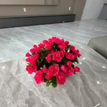 Bán nhà ngõ thông 54m² 4 tầng mặt tiền Tôn Đức Thắng, Quận 1 - Ảnh thu nhỏ 5