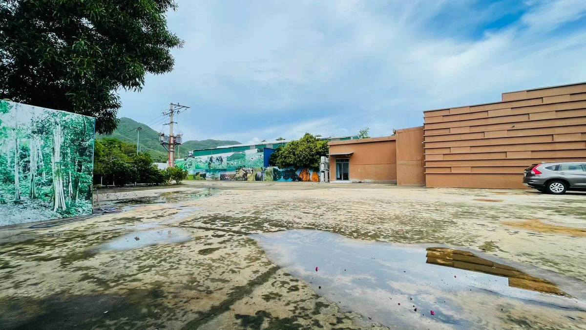 Cho thuê nhà xưởng 5.000m² mặt tiền Nha Trang 250 triệu/tháng - Ảnh 1