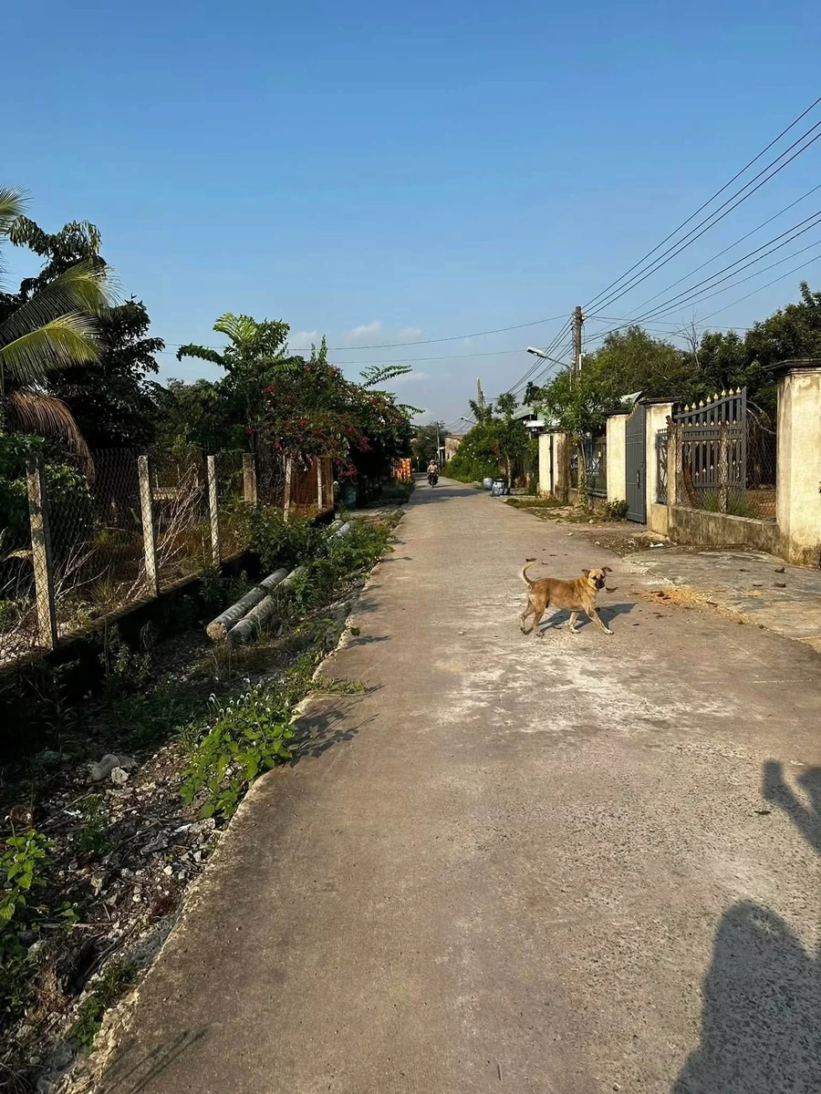 Bán đất Bình Mỹ 500m² 2,8 tỷ Bình Chánh - Ảnh thu nhỏ 2