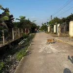 Bán đất Bình Mỹ 500m² 2,8 tỷ Bình Chánh - Ảnh thu nhỏ 2