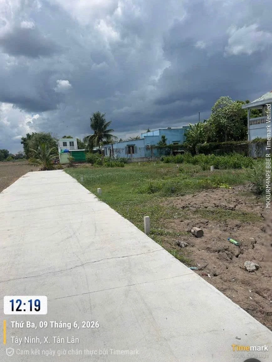 Bán đất 100m² thổ cư Phước Đông Cần Đước 320 triệu - Ảnh thu nhỏ 2