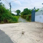 Đất phường Gò Dầu 5x27m full thổ cư 470tr, sổ hồng riêng đường ô tô thông - Ảnh thu nhỏ 8