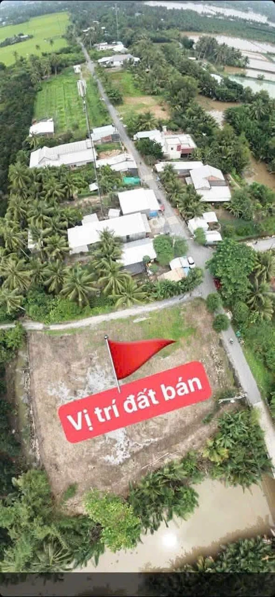 Bán nền lộ ô tô 175m² chỉ 295 triệu tại Vĩnh Long - Ảnh thu nhỏ 4