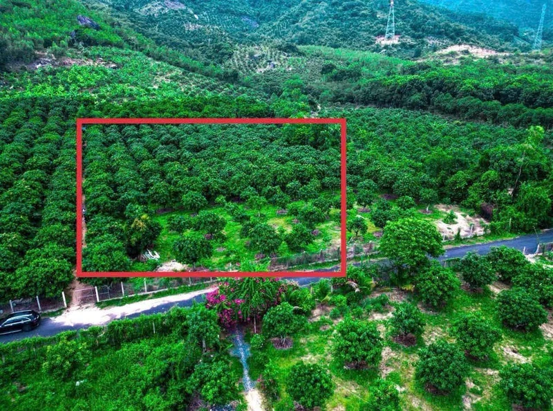 Bán đất Suối Cát Cam Lâm 2.044m² giá 2,2 tỷ