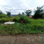 Bán nền đất 300m² mặt tiền Xã Nhựt Tảo, Tây Ninh - Ảnh thu nhỏ 2