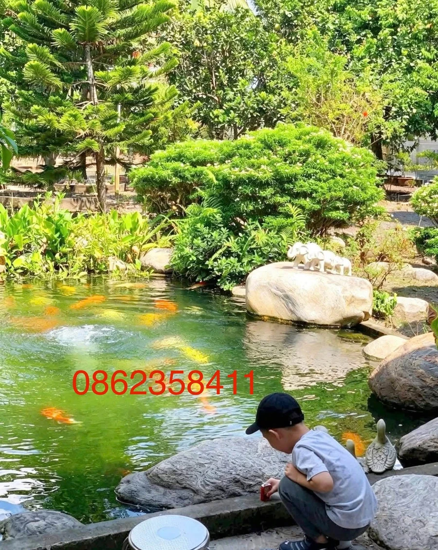 Biệt thự hoàn công 1.982m² Tân Thông Hội, Củ Chi 16 tỷ - Ảnh thu nhỏ 3