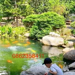 Biệt thự hoàn công 1.982m² Tân Thông Hội, Củ Chi 16 tỷ - Ảnh thu nhỏ 3