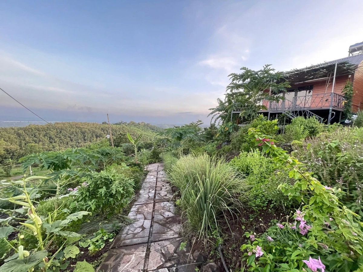 Bán đất vườn 1.000m² view sông La Ngà Cần Giờ 575 triệu - Ảnh thu nhỏ 2