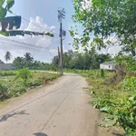 Bán đất nền mặt tiền rạch Cái Nai 115m2 giá 990 triệu, phường Cái Răng, Cần Thơ - Ảnh thu nhỏ 3