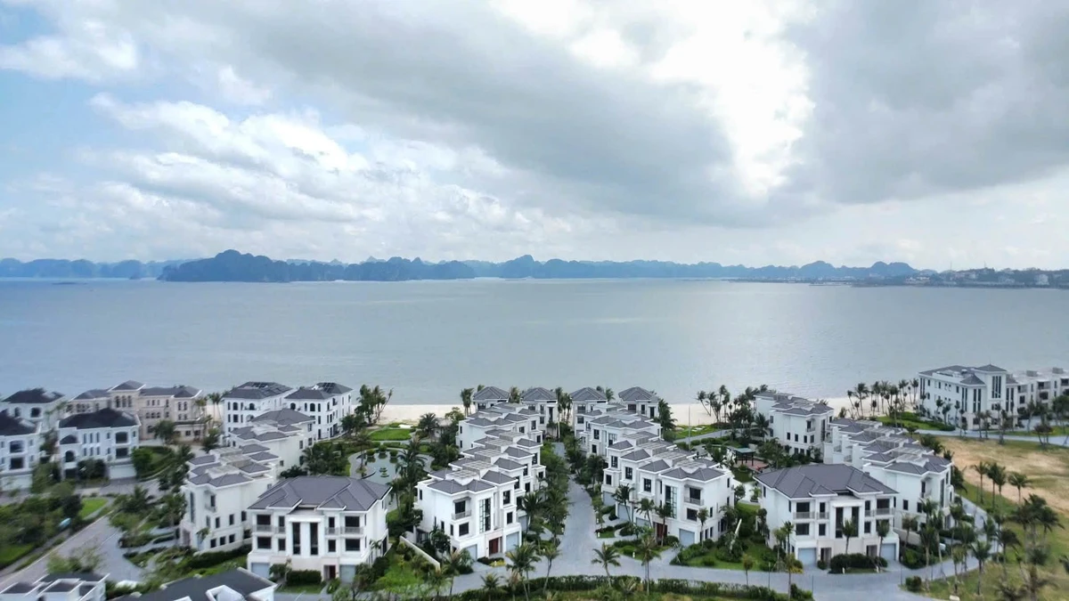 Bán biệt thự Lagoon Resident Villas Bãi Cháy 180m2, 3 tỷ - Ảnh thu nhỏ 2
