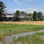 Bán 500m đất cây trồng Hồng Sơn, Lâm Đồng 135 triệu - Ảnh thu nhỏ 2