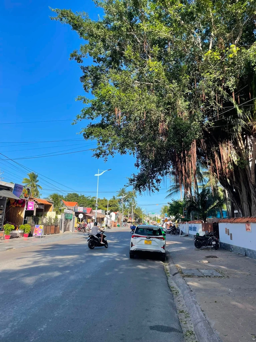 Bán đất 240m² Nguyễn Đình Chiểu, Hàm Tiến, Mũi Né 14 tỷ - Ảnh thu nhỏ 2