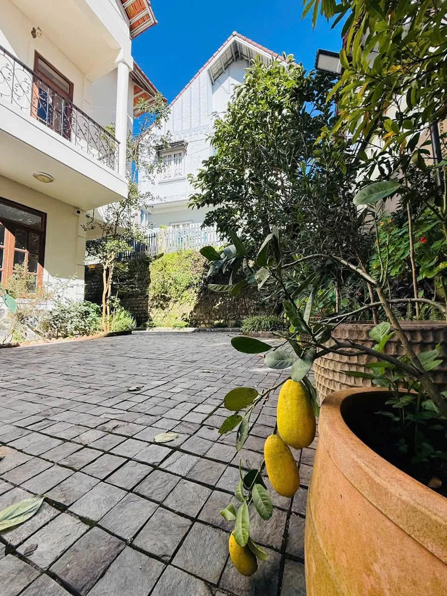 Cho thuê villa Bảo Đại Đà Lạt, 4PN, 400m2, 40tr/tháng - Ảnh thu nhỏ 2