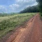 Bán đất Đồng Phú Bình Phước 300m² giá 290 triệu - Ảnh thu nhỏ 2