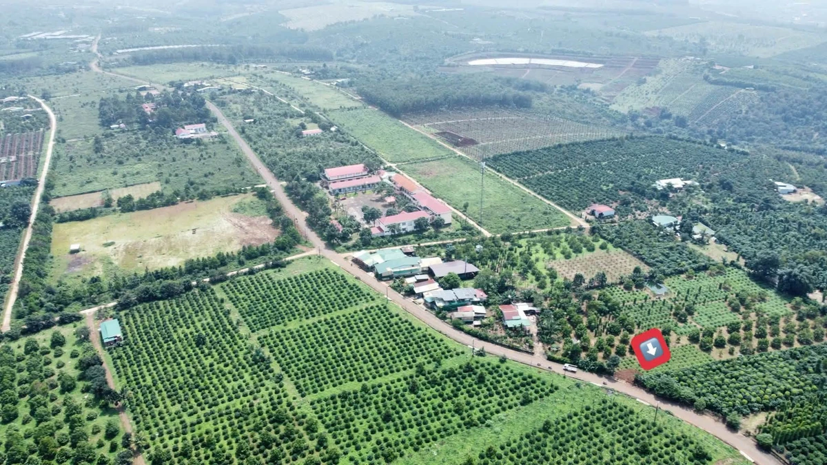 Bán đất mặt đường 300m² Phủ Hồng gần trường học - Ảnh thu nhỏ 3