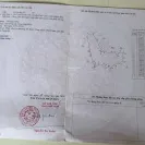 Văn Thủy 2 Cam An Khánh Hòa | hơn 5.000m2 | chỉ 150 triệu/sào - Ảnh thu nhỏ 14