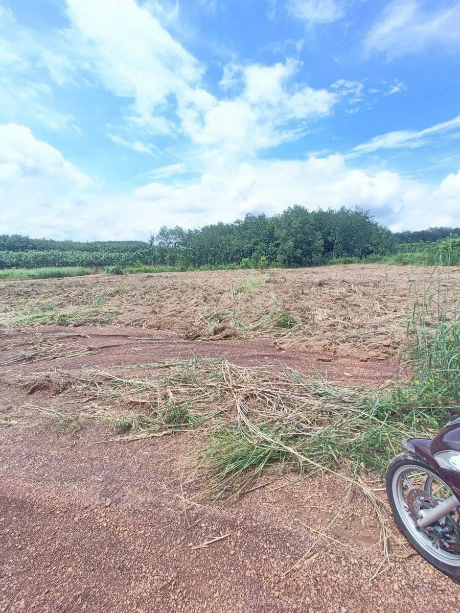 Bán 3 lô đất liền kề Nhà Bè 14x70m, 370 triệu/xào - Ảnh thu nhỏ 2