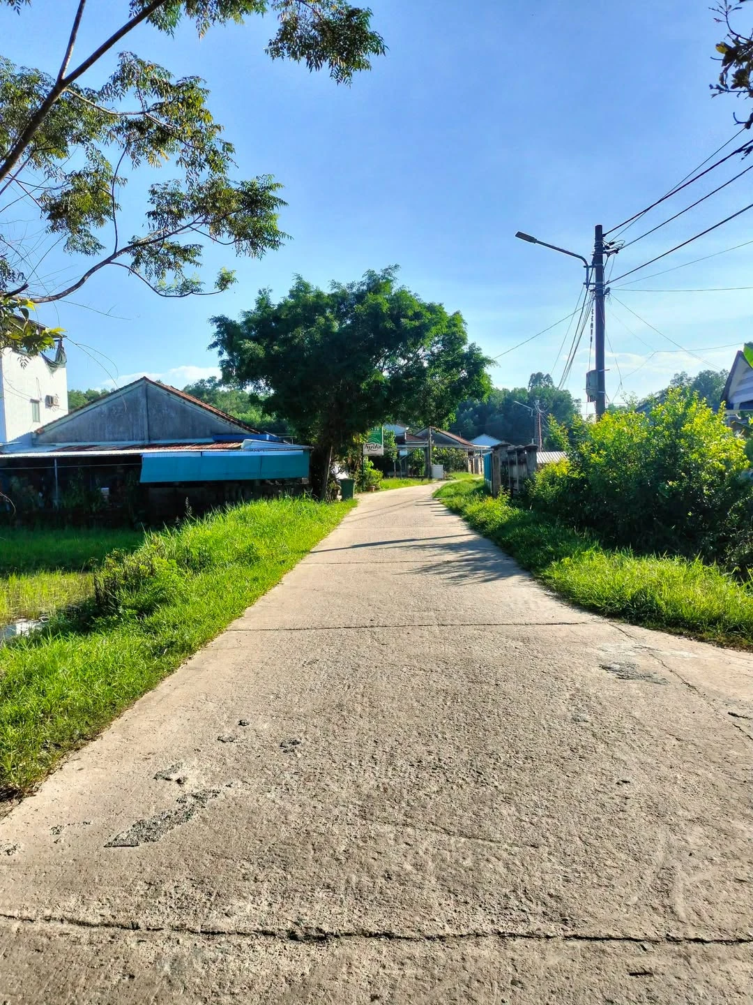Bán đất vườn 1200m² Thăng Bình Bình Định nhỉnh 600 triệu - Ảnh 1