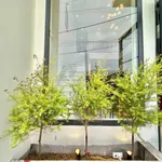 Bán nhà 4.6x25m Bình Chánh 2.38 tỷ - Ảnh thu nhỏ 2