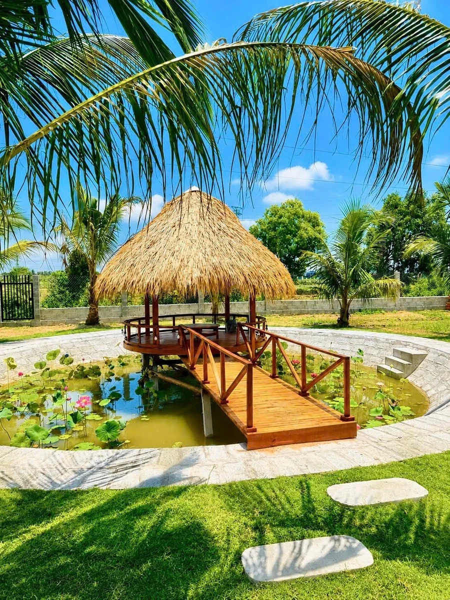 Bán nhà vườn 1.600m² Hàm Chính, Bình Thuận, gần Phan Thiết - Ảnh thu nhỏ 2
