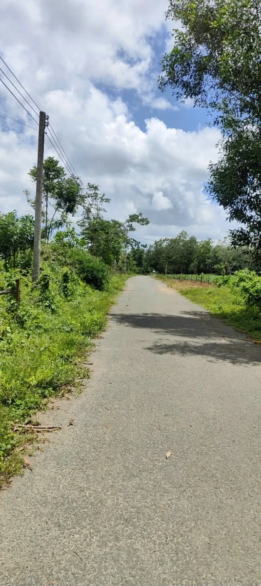 Bán 2 hectare đất cao su Nha Bích Chơn Thành tặng nhà - Ảnh thu nhỏ 3