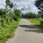 Bán 2 hectare đất cao su Nha Bích Chơn Thành tặng nhà - Ảnh thu nhỏ 3