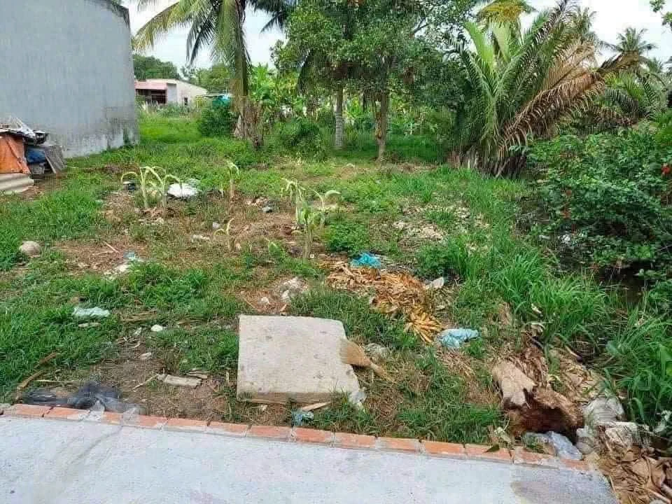 Bán lô đất thổ cư 64 m² Phường Long An, Tây Ninh - Ảnh thu nhỏ 3