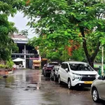 Bán biệt thự lô góc 260m² 4 tầng view Hồ Tây 210 tỷ - Ảnh thu nhỏ 3