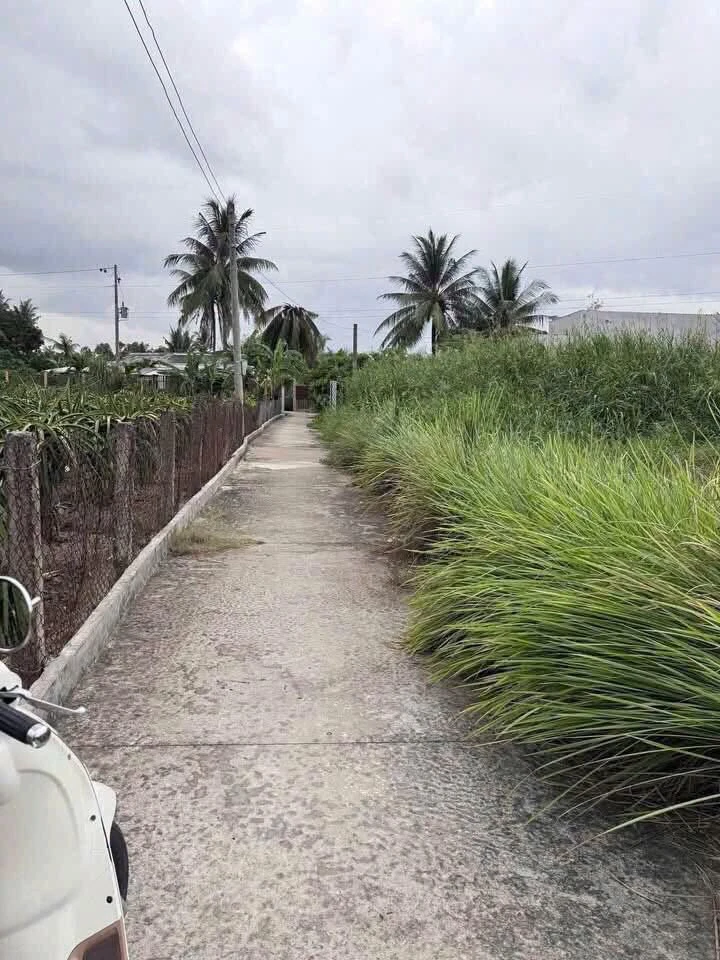 Bán gấp đất thổ cư 5x20m lộ Xuân Hoà, phường Khánh Hậu, Tây Ninh - Ảnh thu nhỏ 2