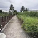 Bán gấp đất thổ cư 5x20m lộ Xuân Hoà, phường Khánh Hậu, Tây Ninh - Ảnh thu nhỏ 2