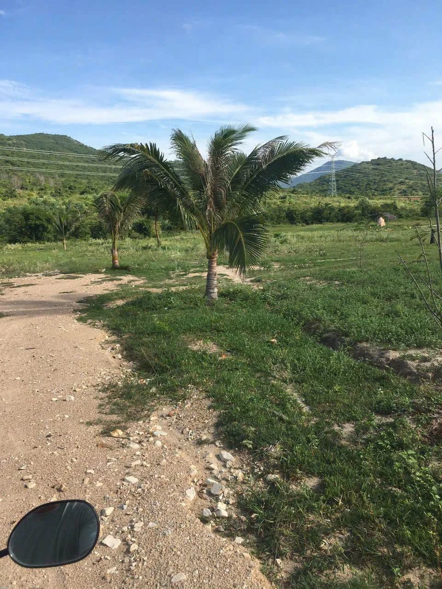 Bán 26.000 m2 đất nông nghiệp Bình Thuận 190 triệu/1000m2 - Ảnh thu nhỏ 3