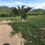 Bán 26.000 m2 đất nông nghiệp Bình Thuận 190 triệu/1000m2 - Ảnh thu nhỏ 3