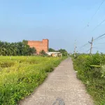 Bán 300m² đất thổ cư Hàm Đức, Bình Thuận 800 triệu - Ảnh thu nhỏ 1