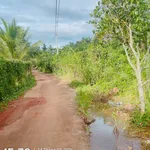 Bán đất ven hồ gần 1 sào 790 triệu Eatam Bình Minh - Ảnh thu nhỏ 3