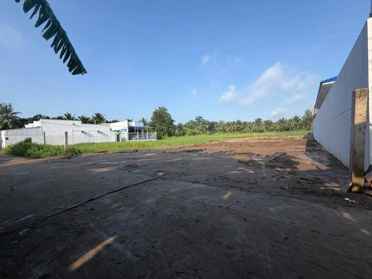 Bán nền đất 350m² Lộ Triền Đồng Phường Phú Tân Bến Tre - Ảnh 1