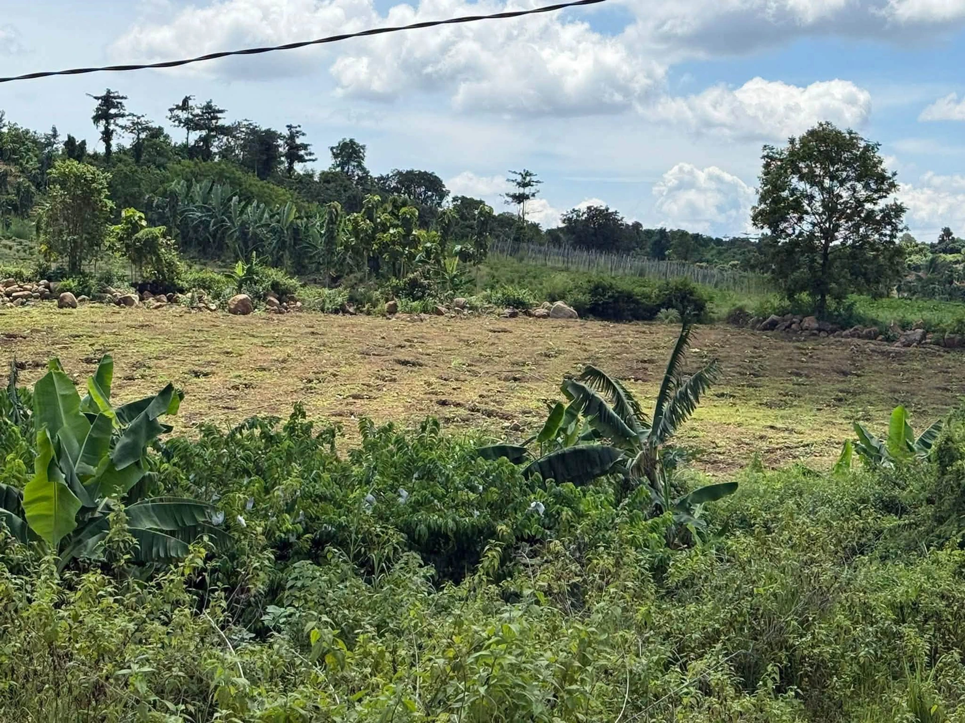 Bán đất 1,6 sào (6400m²) 199 triệu Đắk Ghenh - Ảnh 1