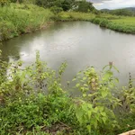 Bán 5,7 ha đất vườn cà phê có sổ hồng tại xã Đăk Mil, Lâm Đồng giá 4,65 tỷ - Ảnh thu nhỏ 2