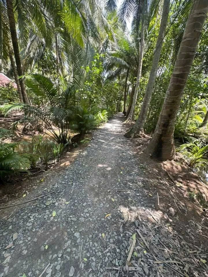Bán đất 1000m² đường Hoa Lâm, Bình Chánh, 450 triệu - Ảnh thu nhỏ 2