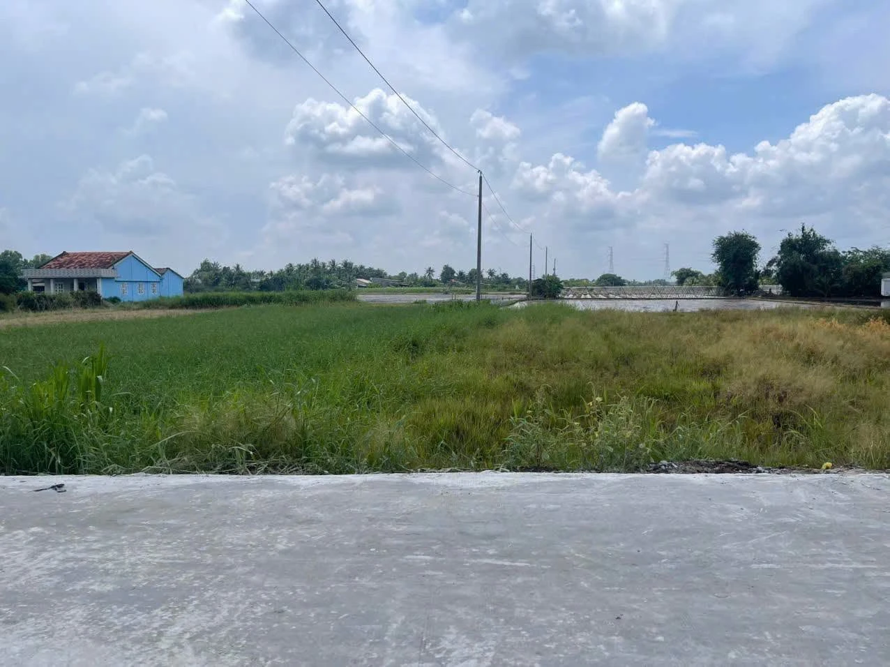 Bán đất thổ cư mặt tiền đường Huỳnh Ngọc Xinh, Tân Trụ, từ 480 triệu - Ảnh 1