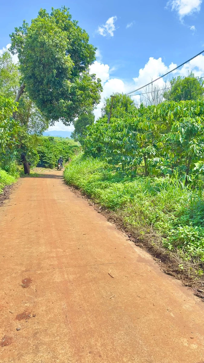 Bán đất 48m² mặt đường Tân Hà Lâm Hà, Hóc Môn - 2,2 tỷ - Ảnh thu nhỏ 3