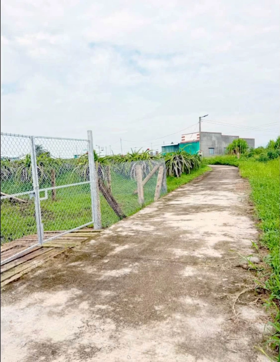 Bán đất 900m² Thôn 2 Hàm Liêm, Phan Thiết 479 triệu - Ảnh 1